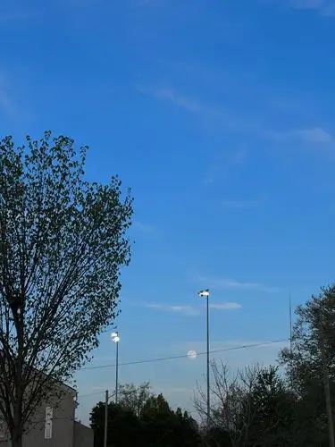 Streetlights shimmer against the tranquil blue.